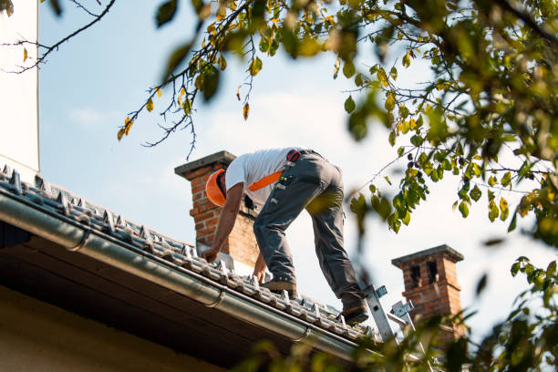 Best Affordable Roof Replacement  in Hutchinson, MN