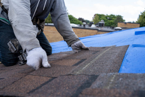 Professional Roofing Contractor in Hutchinson, MN