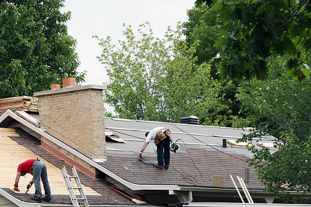 Best Storm Damage Roof Repair  in Hutchinson, MN