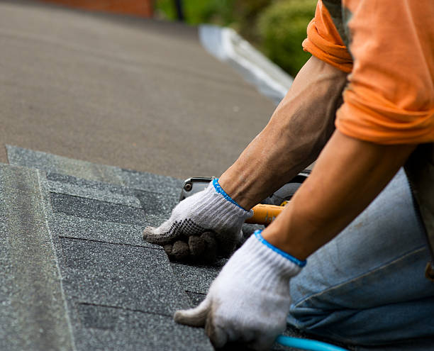Quick and Trustworthy Emergency Roof Repair Services in Hutchinson, MN