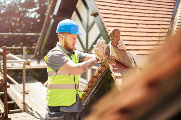 Best Metal Roofing Contractor  in Hutchinson, MN